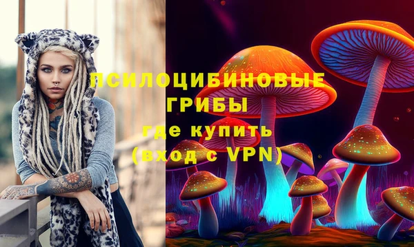 2c-b Абаза