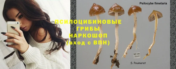ALPHA PVP Алзамай