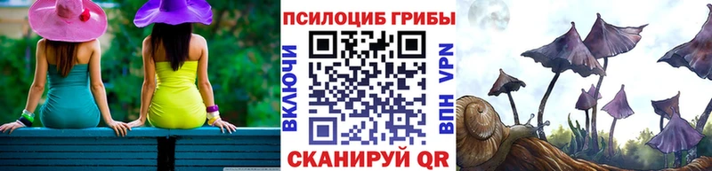 Псилоцибиновые грибы Magic Shrooms  Ржев 