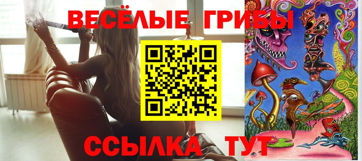Галлюциногенные грибы Cubensis Ржев