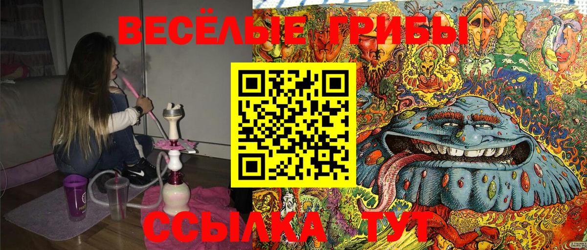 Псилоцибиновые грибы GOLDEN TEACHER  Вход с VPN  Ржев 