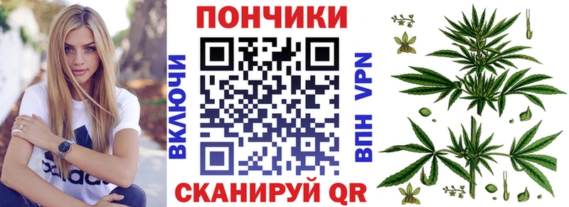 Конопля гибрид  hydra tor  Ржев 